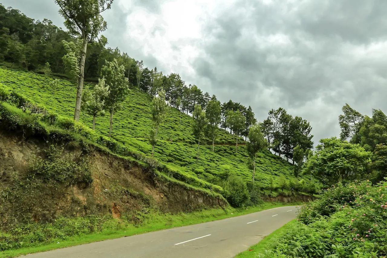 **  Blue Berg Resort Munnar India