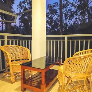 Eucalyptus India